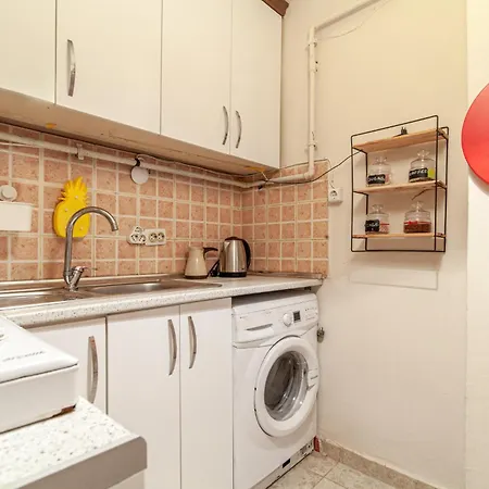Lovely Flat With Central Location In Sisli